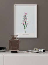 Fleur Sauvage - Art Print